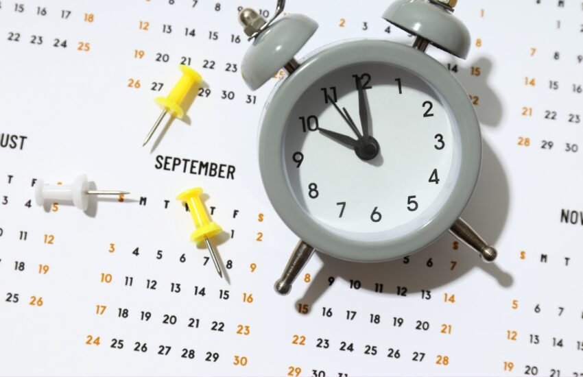 How Long Does SEO Really Take
